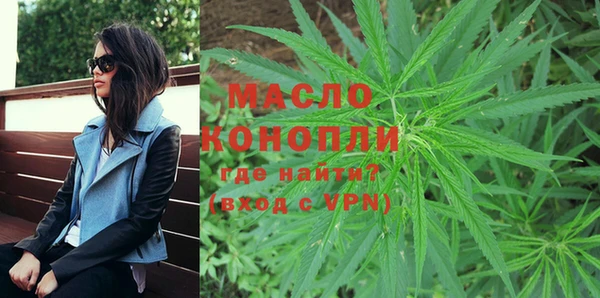 мдпв Михайлов