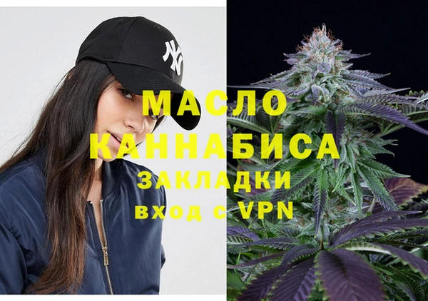 мдпв Михайлов