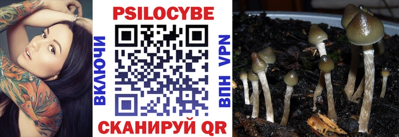 Псилоцибиновые грибы MAGIC MUSHROOMS  МЕГА вход  Сорск 